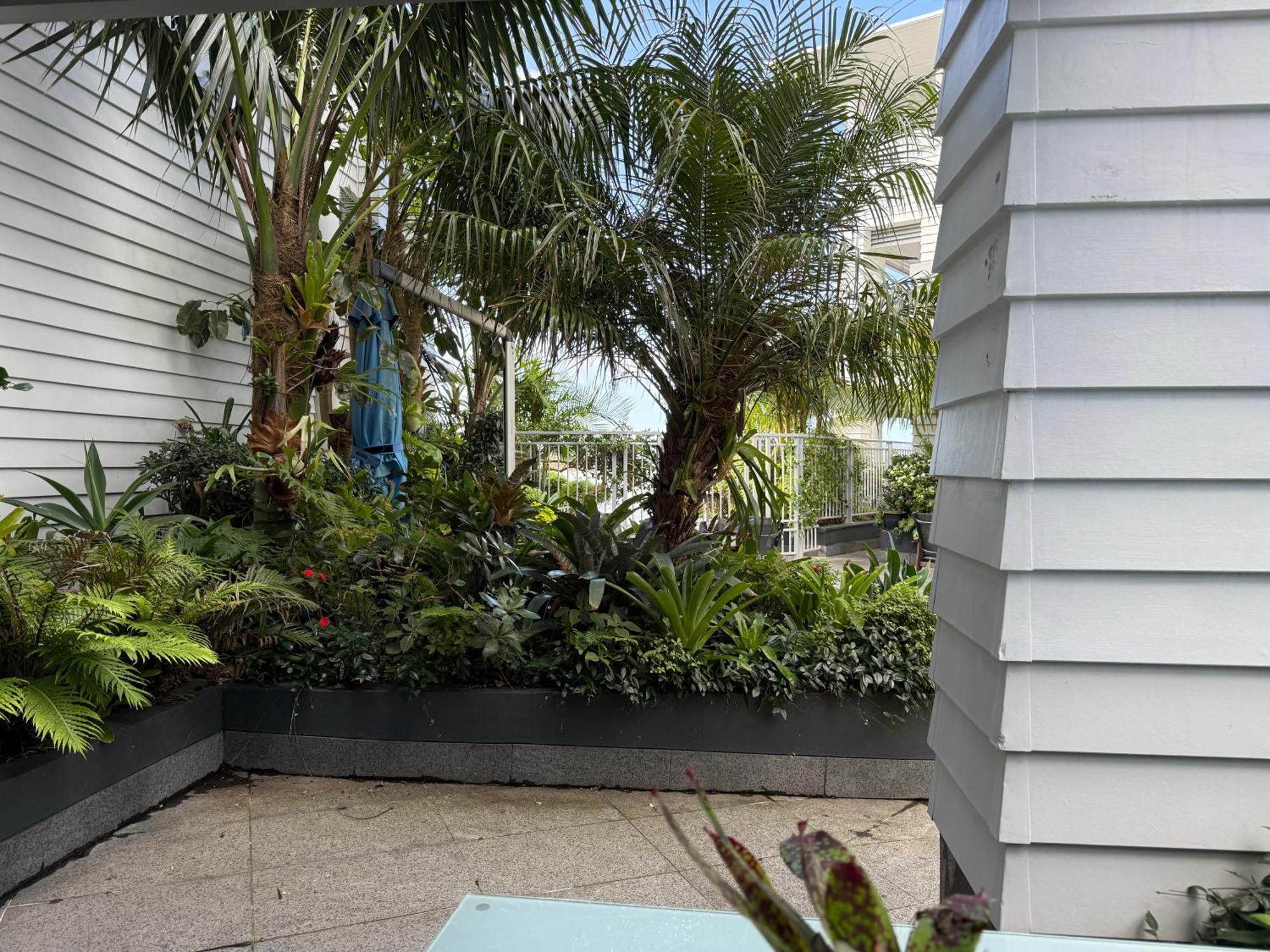By The Sea * Paihia